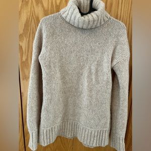 Everlane Turtleneck Cloud Sweater
